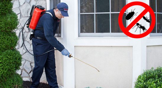 Denizli Hamam Böceği İlaçlama böcek ilaçlama ve haşere kontrolü — ilaclama-tr.com